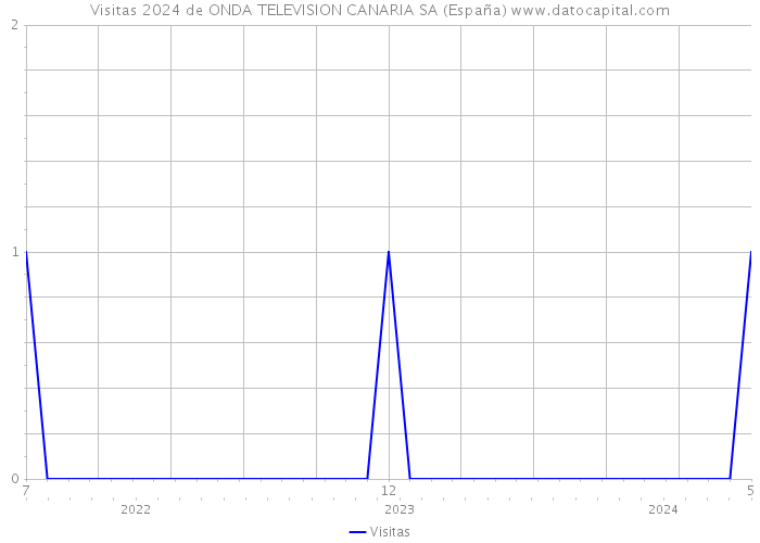 Visitas 2024 de ONDA TELEVISION CANARIA SA (España) 