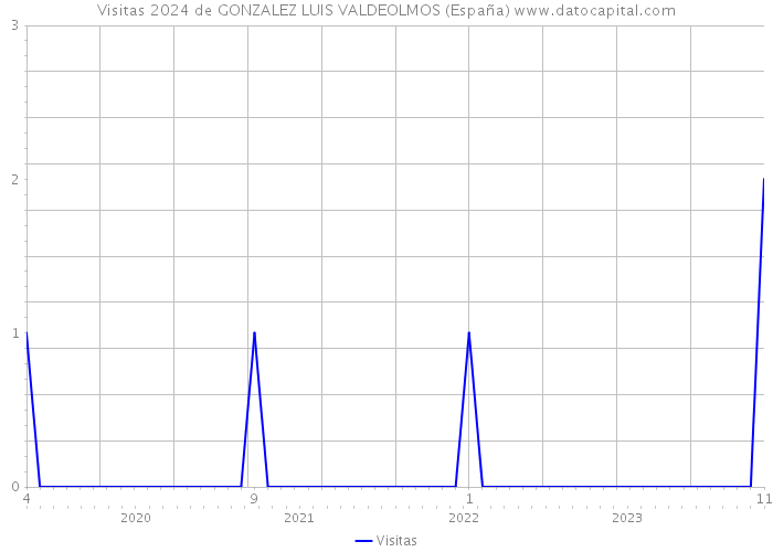 Visitas 2024 de GONZALEZ LUIS VALDEOLMOS (España) 