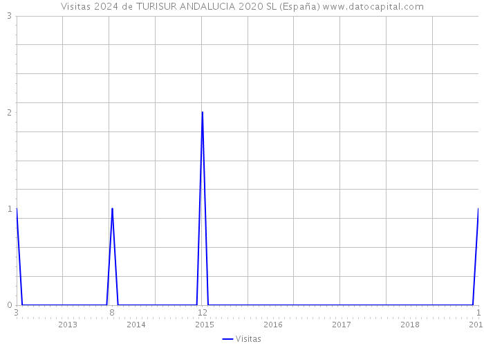 Visitas 2024 de TURISUR ANDALUCIA 2020 SL (España) 