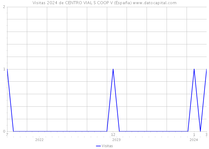 Visitas 2024 de CENTRO VIAL S COOP V (España) 