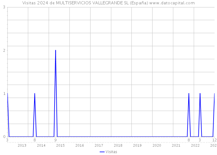 Visitas 2024 de MULTISERVICIOS VALLEGRANDE SL (España) 