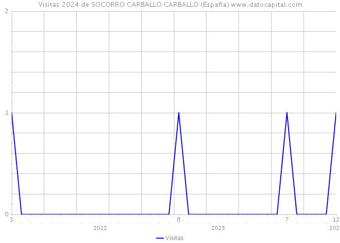 Visitas 2024 de SOCORRO CARBALLO CARBALLO (España) 