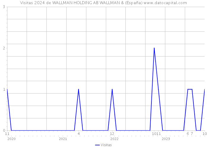 Visitas 2024 de WALLMAN HOLDING AB WALLMAN & (España) 