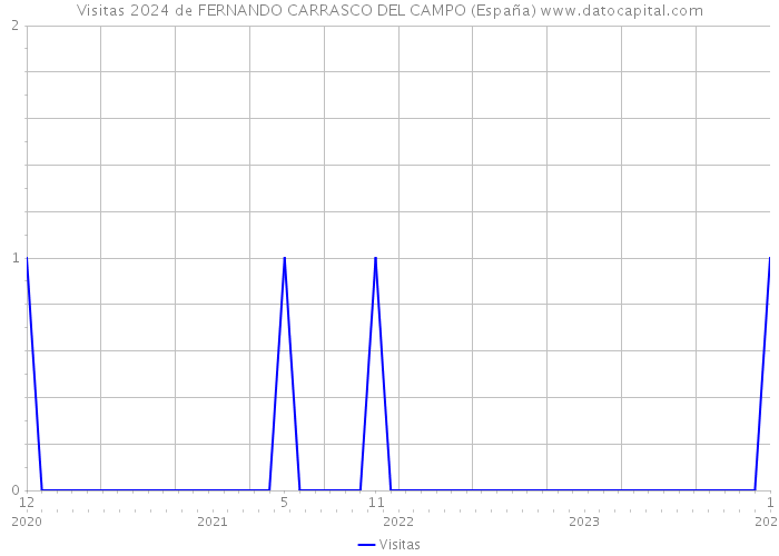 Visitas 2024 de FERNANDO CARRASCO DEL CAMPO (España) 