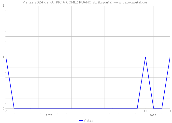 Visitas 2024 de PATRICIA GOMEZ RUANO SL. (España) 