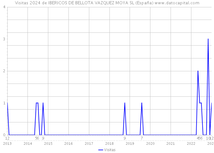 Visitas 2024 de IBERICOS DE BELLOTA VAZQUEZ MOYA SL (España) 