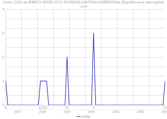Visitas 2024 de ENERGY WOOD CCYL SOCIEDAD LIMITADA UNIPERSONAL (España) 