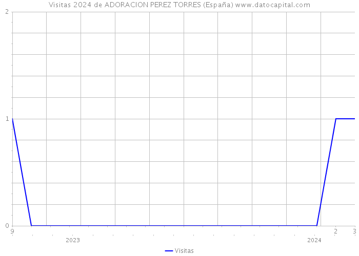 Visitas 2024 de ADORACION PEREZ TORRES (España) 