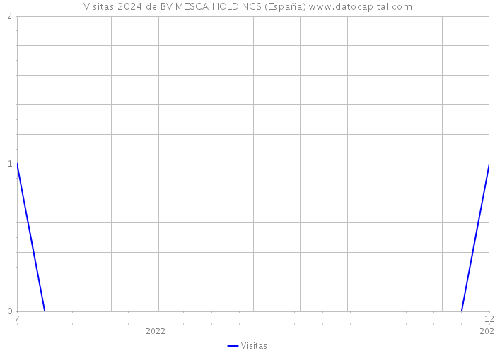 Visitas 2024 de BV MESCA HOLDINGS (España) 