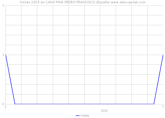Visitas 2024 de CANO PINA PEDRO FRANCISCO (España) 