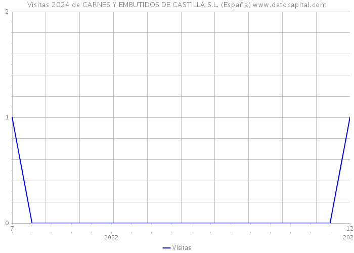 Visitas 2024 de CARNES Y EMBUTIDOS DE CASTILLA S.L. (España) 