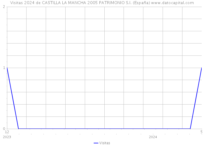 Visitas 2024 de CASTILLA LA MANCHA 2005 PATRIMONIO S.I. (España) 