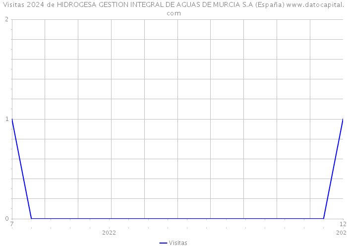 Visitas 2024 de HIDROGESA GESTION INTEGRAL DE AGUAS DE MURCIA S.A (España) 