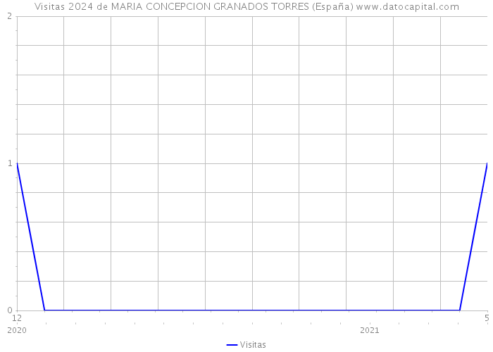 Visitas 2024 de MARIA CONCEPCION GRANADOS TORRES (España) 