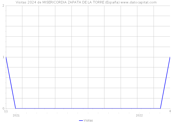 Visitas 2024 de MISERICORDIA ZAPATA DE LA TORRE (España) 
