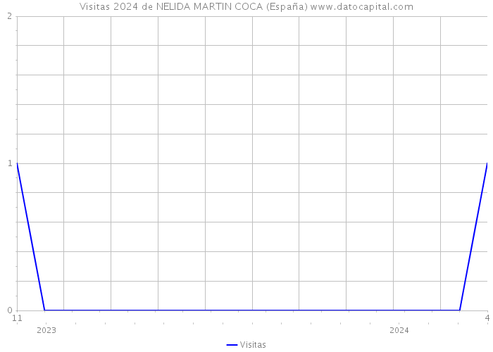 Visitas 2024 de NELIDA MARTIN COCA (España) 