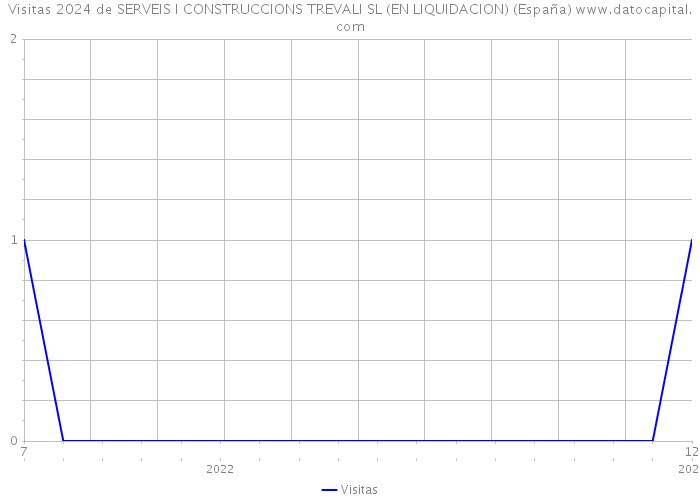 Visitas 2024 de SERVEIS I CONSTRUCCIONS TREVALI SL (EN LIQUIDACION) (España) 