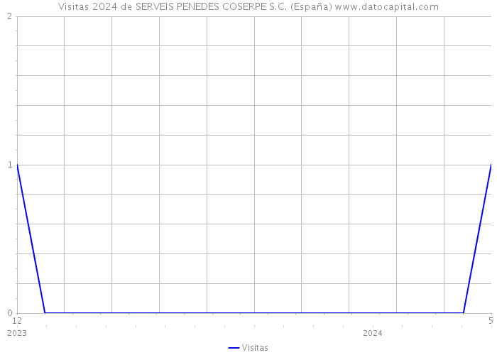Visitas 2024 de SERVEIS PENEDES COSERPE S.C. (España) 