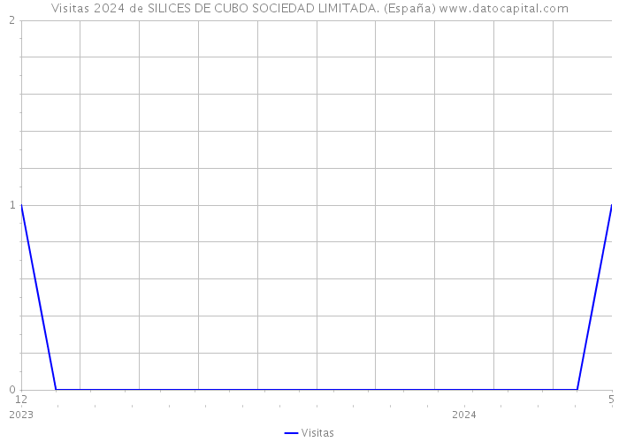 Visitas 2024 de SILICES DE CUBO SOCIEDAD LIMITADA. (España) 