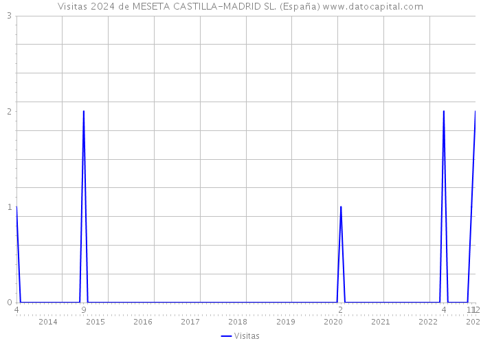 Visitas 2024 de MESETA CASTILLA-MADRID SL. (España) 