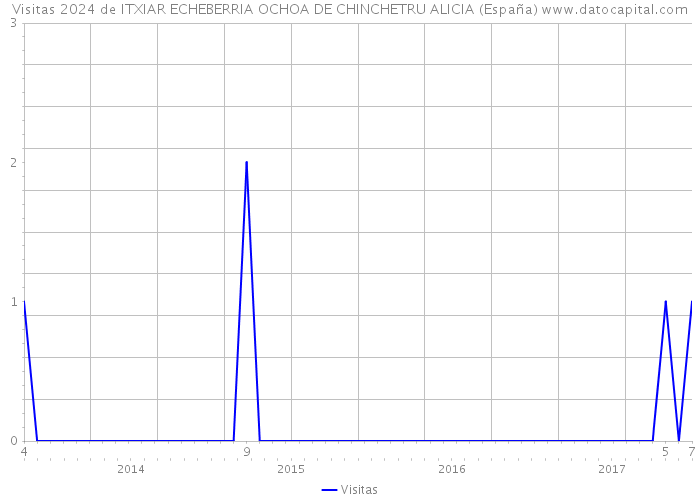Visitas 2024 de ITXIAR ECHEBERRIA OCHOA DE CHINCHETRU ALICIA (España) 