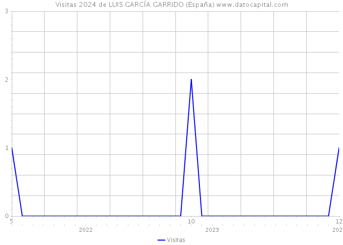 Visitas 2024 de LUIS GARCÍA GARRIDO (España) 