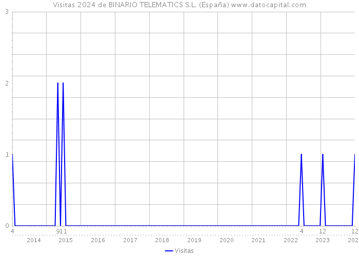 Visitas 2024 de BINARIO TELEMATICS S.L. (España) 