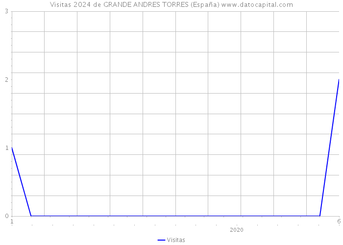Visitas 2024 de GRANDE ANDRES TORRES (España) 
