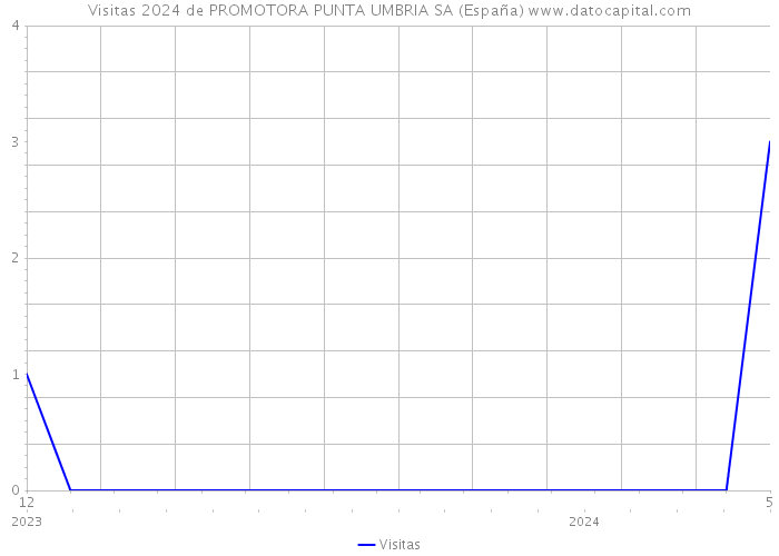 Visitas 2024 de PROMOTORA PUNTA UMBRIA SA (España) 