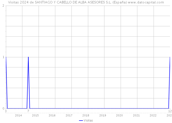 Visitas 2024 de SANTIAGO Y CABELLO DE ALBA ASESORES S.L. (España) 