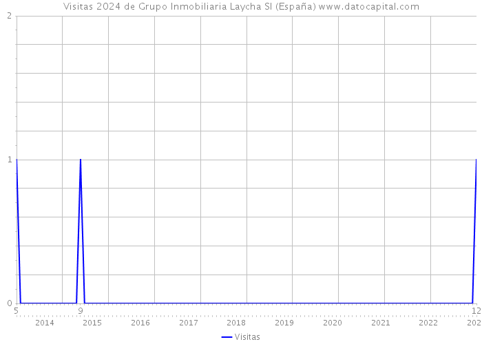 Visitas 2024 de Grupo Inmobiliaria Laycha Sl (España) 