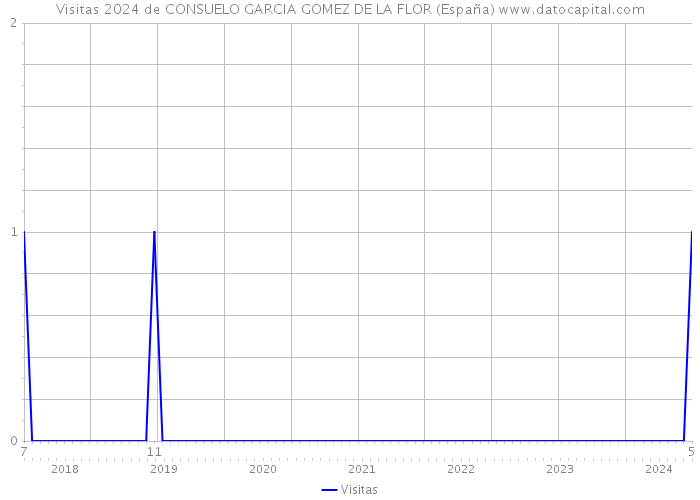 Visitas 2024 de CONSUELO GARCIA GOMEZ DE LA FLOR (España) 