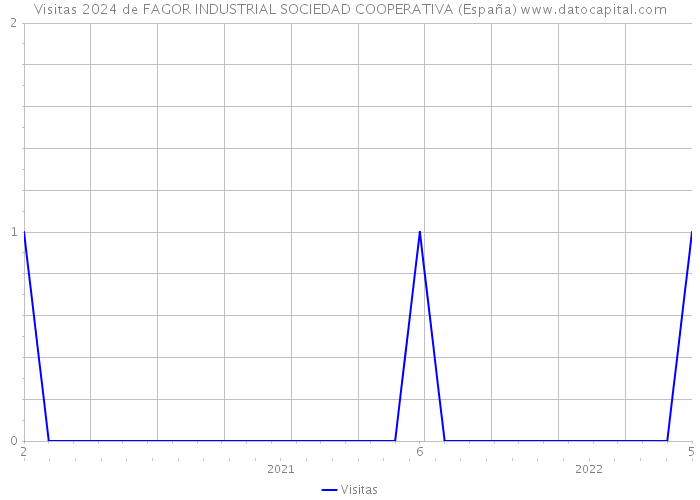 Visitas 2024 de FAGOR INDUSTRIAL SOCIEDAD COOPERATIVA (España) 