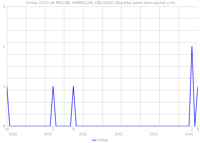 Visitas 2024 de MIGUEL AMENGUAL DELGADO (España) 