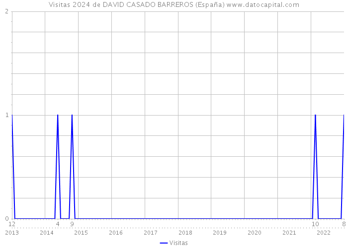 Visitas 2024 de DAVID CASADO BARREROS (España) 