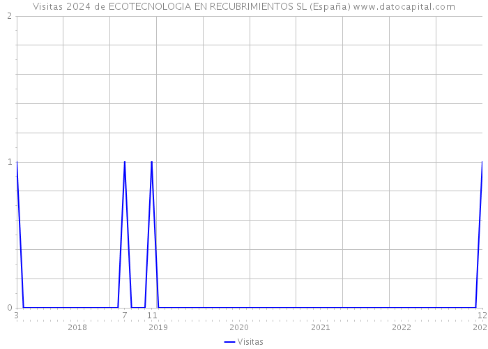 Visitas 2024 de ECOTECNOLOGIA EN RECUBRIMIENTOS SL (España) 