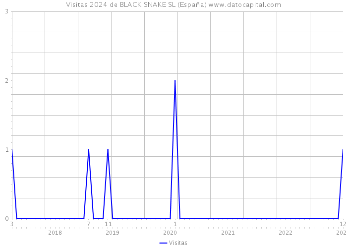 Visitas 2024 de BLACK SNAKE SL (España) 
