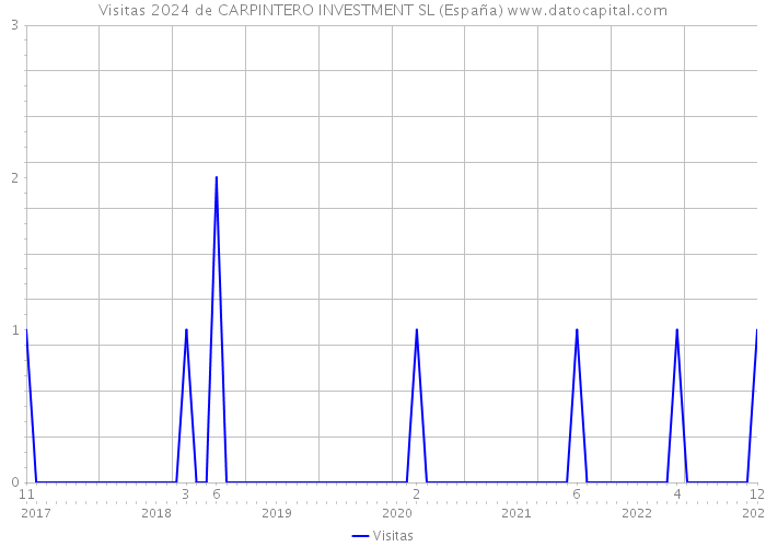 Visitas 2024 de CARPINTERO INVESTMENT SL (España) 
