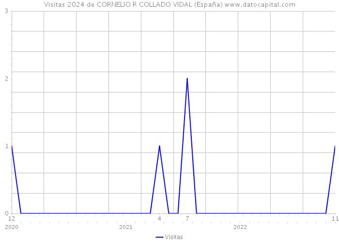 Visitas 2024 de CORNELIO R COLLADO VIDAL (España) 
