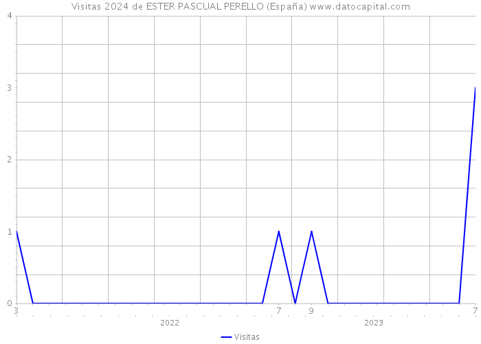 Visitas 2024 de ESTER PASCUAL PERELLO (España) 