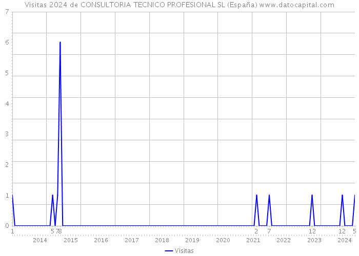 Visitas 2024 de CONSULTORIA TECNICO PROFESIONAL SL (España) 