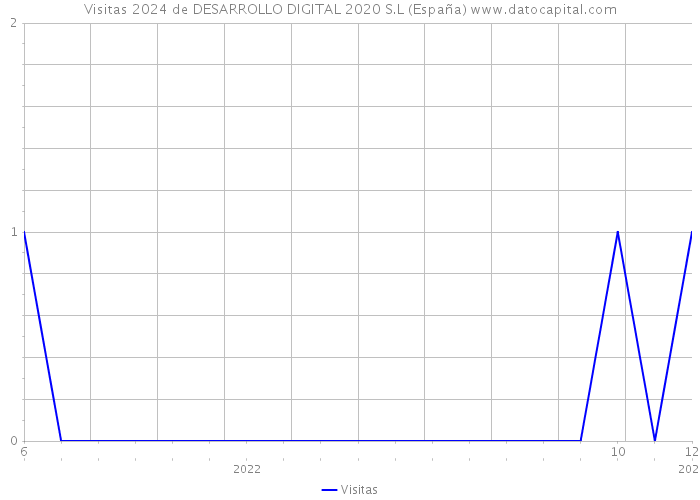 Visitas 2024 de DESARROLLO DIGITAL 2020 S.L (España) 