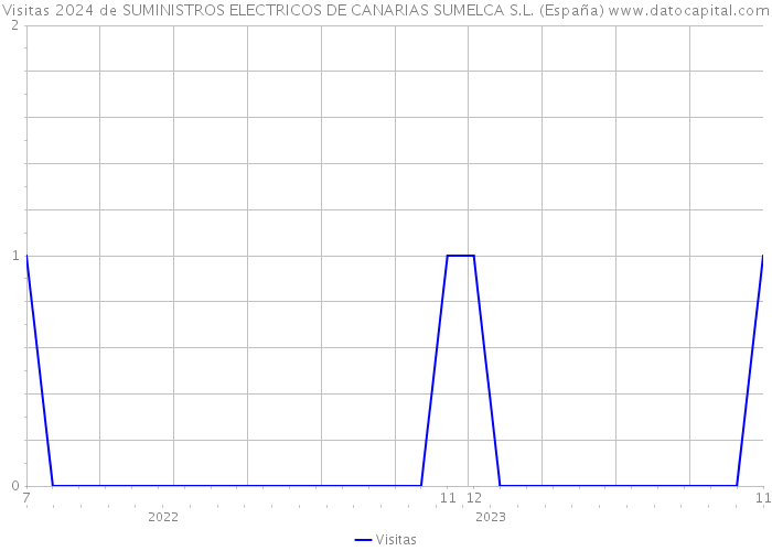 Visitas 2024 de SUMINISTROS ELECTRICOS DE CANARIAS SUMELCA S.L. (España) 