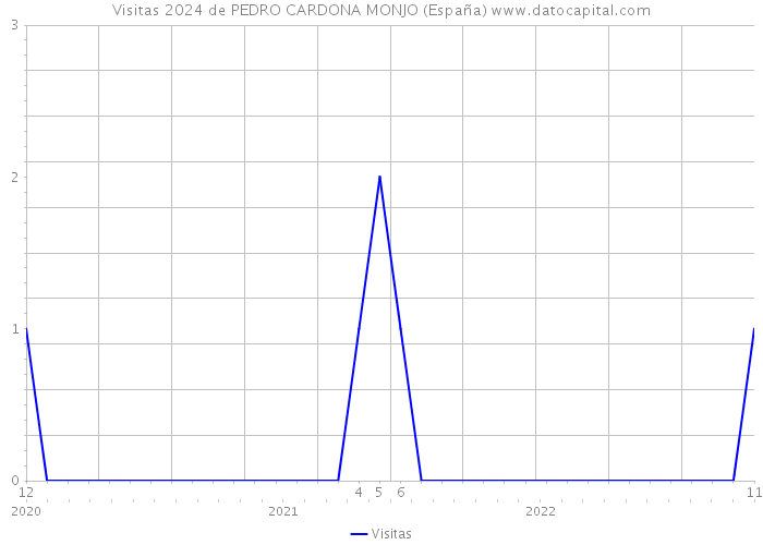 Visitas 2024 de PEDRO CARDONA MONJO (España) 