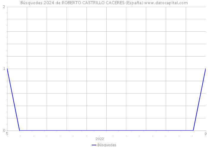 Búsquedas 2024 de ROBERTO CASTRILLO CACERES (España) 