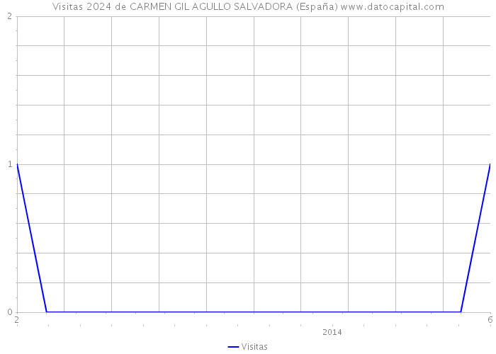 Visitas 2024 de CARMEN GIL AGULLO SALVADORA (España) 