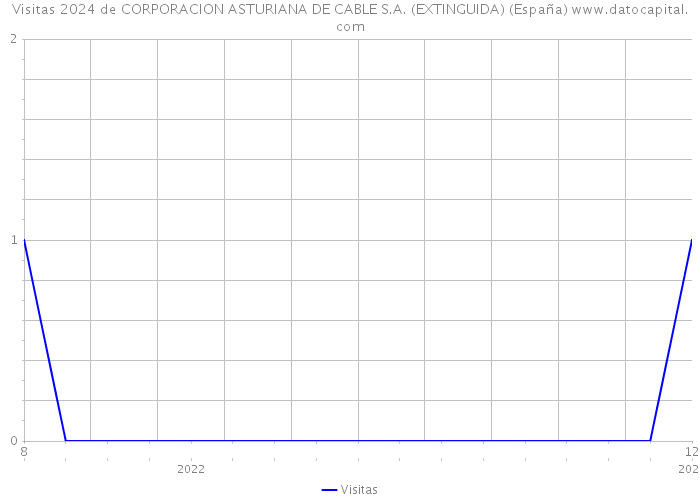 Visitas 2024 de CORPORACION ASTURIANA DE CABLE S.A. (EXTINGUIDA) (España) 