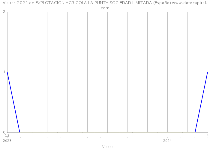 Visitas 2024 de EXPLOTACION AGRICOLA LA PUNTA SOCIEDAD LIMITADA (España) 