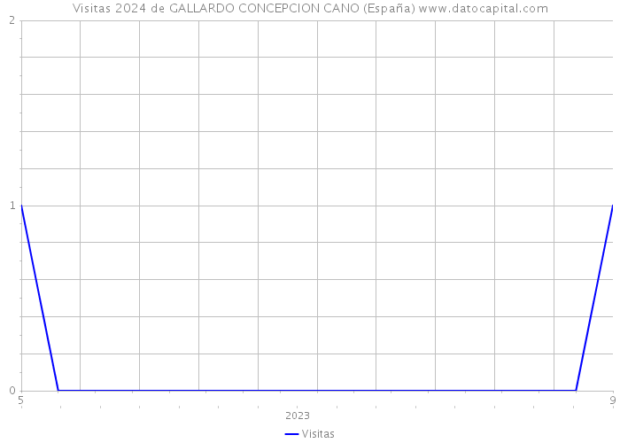 Visitas 2024 de GALLARDO CONCEPCION CANO (España) 