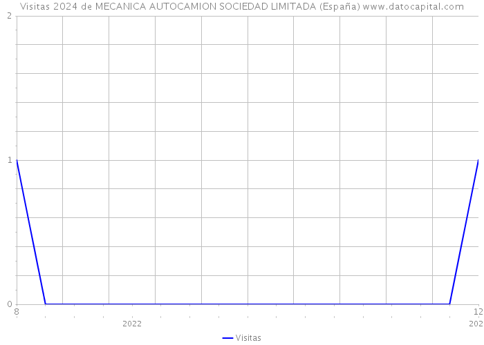 Visitas 2024 de MECANICA AUTOCAMION SOCIEDAD LIMITADA (España) 